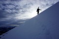 Profilbillede af Zellhofer,