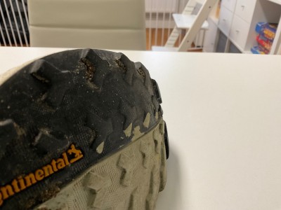 Billede 1 af Sabine vedr. adidas Terrex - Terrex Free Hiker 2 GTX - Vandresko