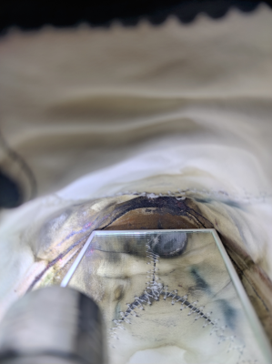 Billede 1 af Bettina vedr. AKU - Minima - Fritidssko