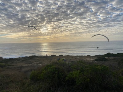 Billede 1 af Terri vedr. Altra - Women's Escalante 4 - Running-sko