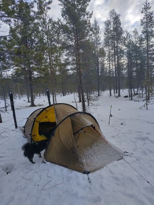 Billede 1 af Martin vedr. C.A.M.P. - G Pure - Handsker