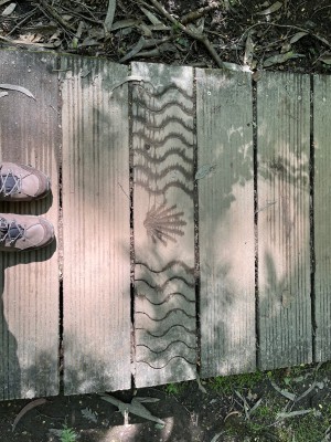 Billede 1 af Anette vedr. CEP - Women's Hiking Merino Mid-Cut Socks - Kompressionssokker