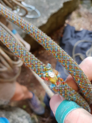 Billede 1 af Sven vedr. Edelrid - Parrot 9.8 mm - Helreb