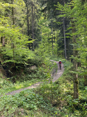 Billede 1 af Anna-Lena vedr. FOX Racing - Speedframe Helmet Mips - Cykelhjelm
