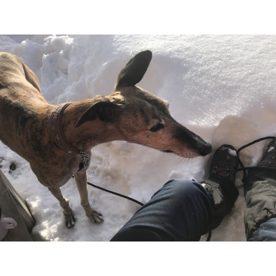 Billede 1 af Edith vedr. Hanwag - Tatra II Lady GTX - Vandresko