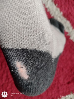 Billede 1 af Stefan vedr. Heber Peak - EvergreenHe. Hiking Crew Socks 2-Pack - Vandresokker