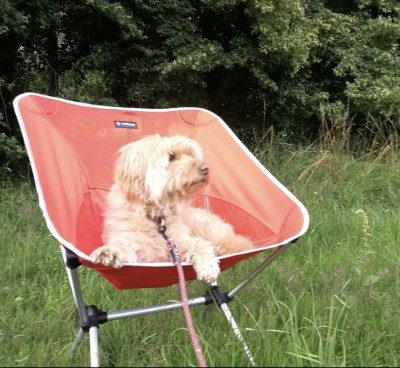 Billede 1 af Katja vedr. Helinox - Chair One XL - Campingstål