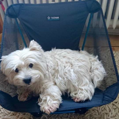 Billede 1 af Maren vedr. Helinox - Ground Chair - Campingstål