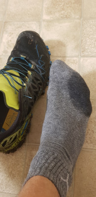 Billede 1 af Tobias vedr. La Sportiva - Bushido II GTX - Trailrunningsko