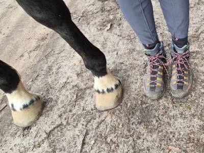 Billede 1 af Ines vedr. La Sportiva - Women's Trango TRK Leather GTX - Vandresko