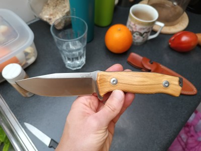 Billede 1 af Markus vedr. LionSteel - M5 - Knive