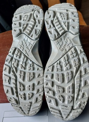 Billede 1 af Andreas vedr. Lowa - Women's Sirkos Evo GTX MID - Vandresko