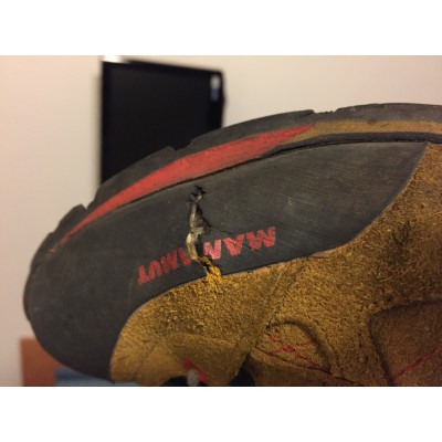 Billede 1 af Karsten vedr. Mammut - Ridge Low GTX Men - Approachsko