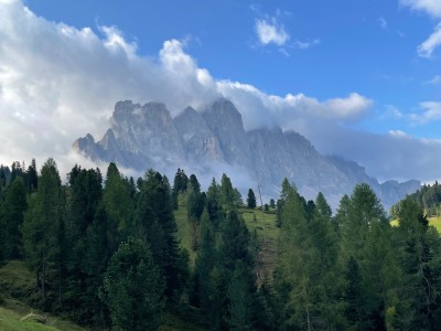 Billede 1 af Thomas vedr. Ortovox - All Mountain Mid Socks - Merinosokker