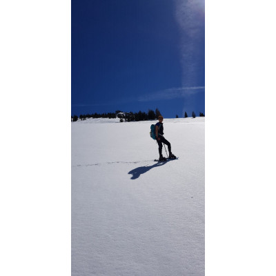 Billede 1 af Andrea vedr. Ortovox - Women's Piz Selva Light Pants - Trekking bukser