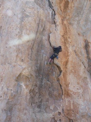 Billede 1 af Siegfried vedr. Petzl - Spirit Straight Gate - Karabin med snaplås