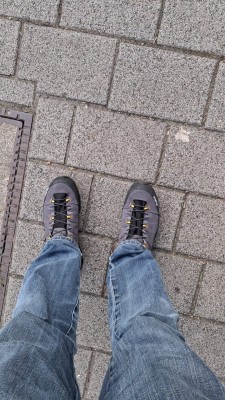 Billede 1 af michael vedr. Salewa - Alp Trainer 2 GTX - Multisportsko