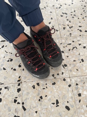 Billede 1 af Britta vedr. Salewa - Women's Alp Trainer 2 GTX - Multisportsko