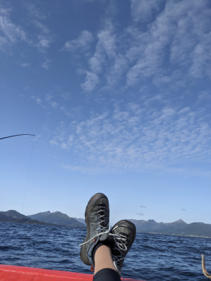 Billede 1 af Alexandra vedr. Salewa - Women's Alp Trainer 2 GTX - Multisportsko