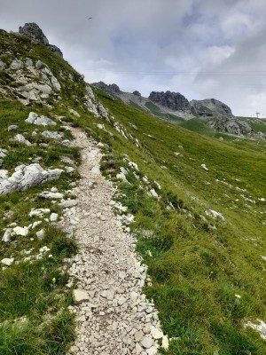 Billede 1 af Michael vedr. Salomon - XA Pro 3D V9 Wide - Multisportsko