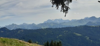 Billede 1 af Bruno vedr. Scarpa - Mojito Trail GTX Suede - Multisportsko
