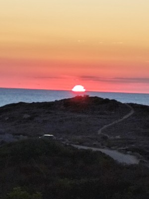 Billede 1 af Klara vedr. Stoic - Women's MerinoFleece335 KuolpaSt. Pants - Træningsbukser