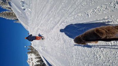 Billede 1 af Alexandra vedr. Tubbs - Flex TRK 22 Kit - Snesko