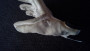 Billede 2 af Martin vedr. Edelrid - Sticky Glove - Handsker
