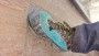 Billede 2 af MARCIN vedr. La Sportiva - TX4 Evo GTX - Approachsko