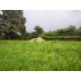 Billede 2 af Vincent vedr. Mountain Equipment - Dragonfly 3 XT - 3-personers telt