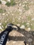 Billede 1 af Veronika vedr. Scarpa - Women's Rush Trek Pro GTX - Vandresko