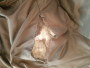 Billede 1 af Josef vedr. Stoic - StorboSt. Padded Hoody - Syntetisk jakke