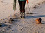 Billede 1 af Jolanta vedr. Tretorn - Women's Skanör - Gummistøvler
