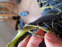 Billede 2 af Nicole vedr. Trollkids - Kid's Skarvan Hiker Low - Multisportsko